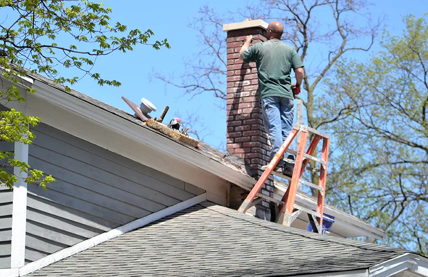 Chimney & Fireplace Inspections Services in Oxford, MS